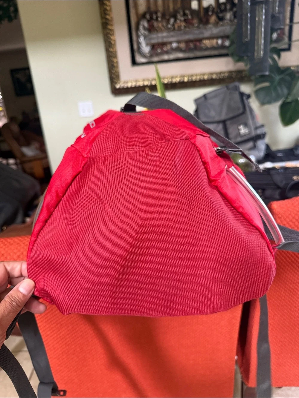 Mckinley daypack featuring